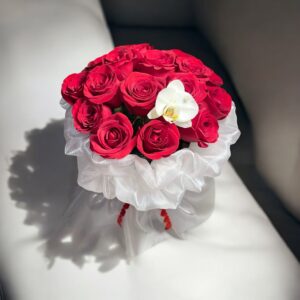 Photoroom_20250205_120535 AM